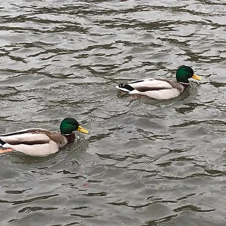 Z Widokiem Na Czantorie W Zeta Park * Ustroń