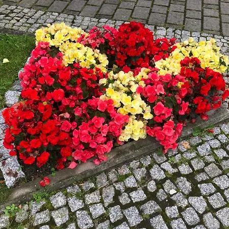 Z Widokiem Na Czantorie W Zeta Park *