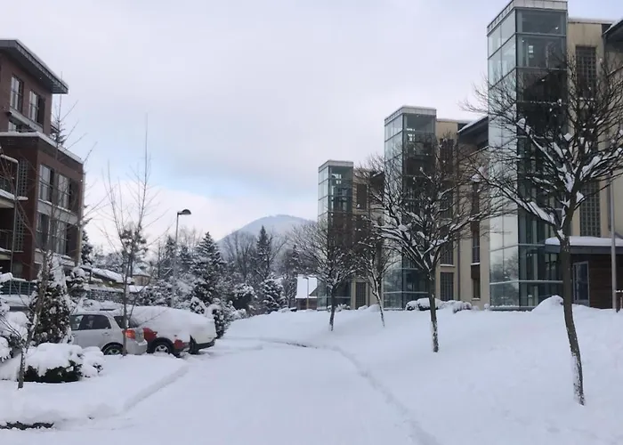 Z Widokiem Na Czantorie W Zeta Park Апартаменты Устронь