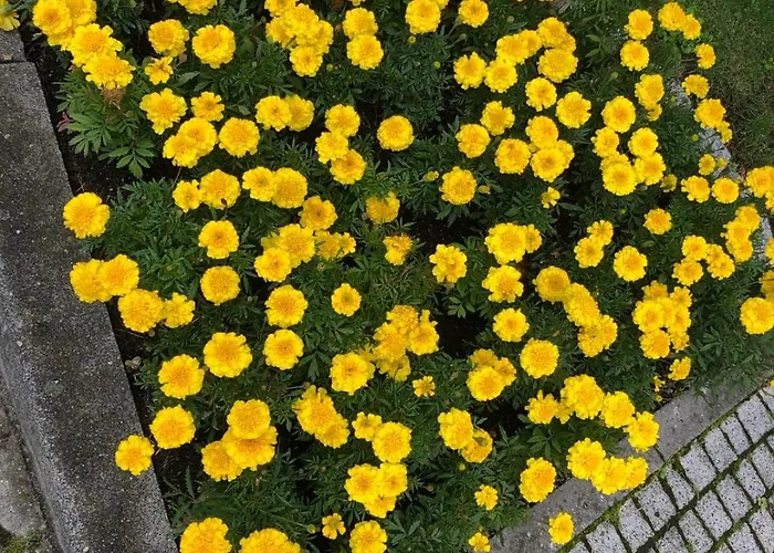 Z Widokiem Na Czantorie W Zeta Park Устронь