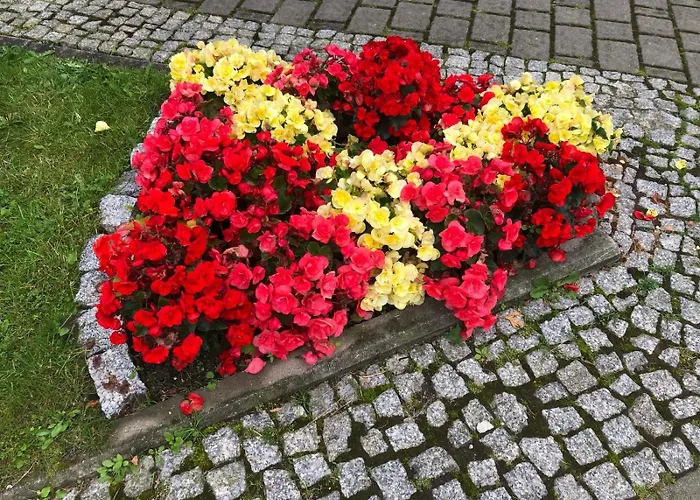 Z Widokiem Na Czantorie W Zeta Park *